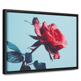 18″ x 12″-30″ x 20″-40″ x 30″-Black-1.25"