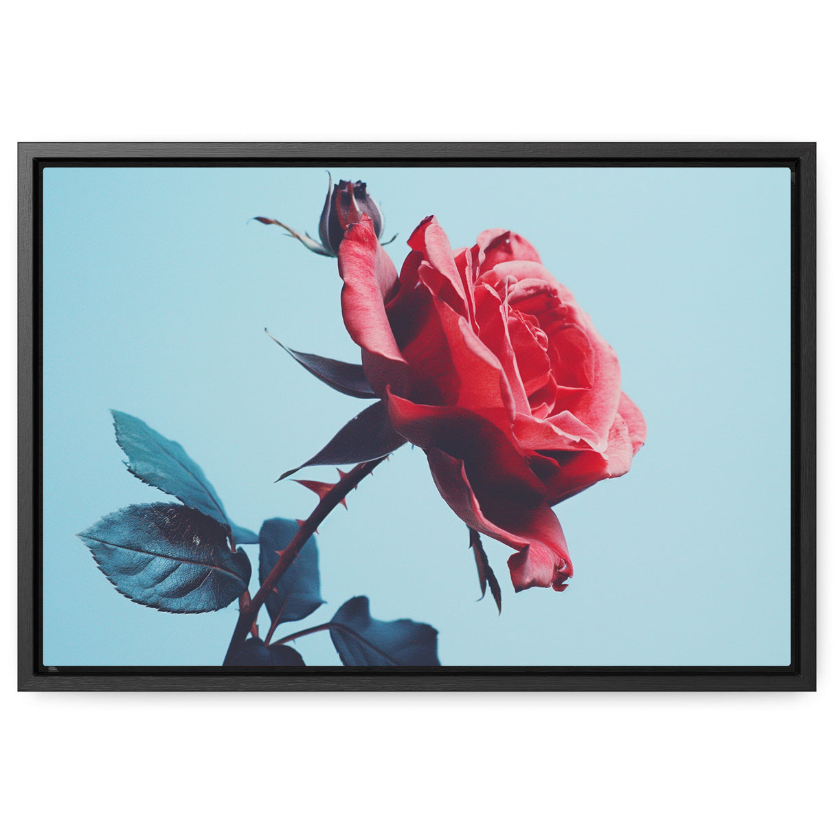 18″ x 12″-30″ x 20″-40″ x 30″-Black-1.25"